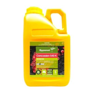 Apparent Concussion 540 K 5L