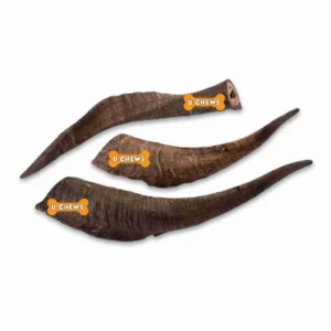U Chews Aussie Goat Horn 20-25cm Single