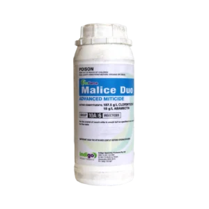 Indigo Malice Duo 1L