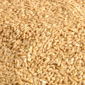 Avigrain Hulled Oats 2kg