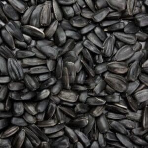 Avigrain Black Sunflower 2.5kg